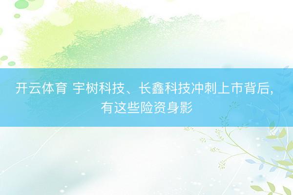 开云体育 宇树科技、长鑫科技冲刺上市背后， 有这些险资身影