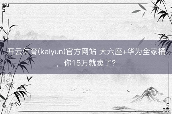 开云体育(kaiyun)官方网站 大六座+华为全家桶,你15万就卖了?