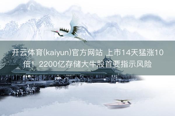 开云体育(kaiyun)官方网站 上市14天猛涨10倍！2200亿存储大牛股首要指示风险